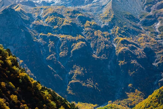 Picturesque autumn trees in the mountains create an amazing and vibrant landscape.