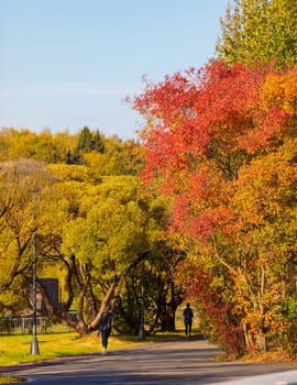 People jogging in cozy autumn city park enjoying nature
