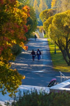 Autumn trees of the park, illuminated by warm sunlight