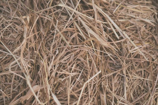 Hay close up bale background wallpaper macro stack beige tangled straw yellow gold.