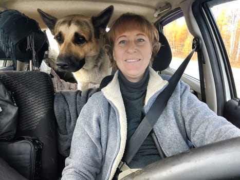 Portrait of female driver in solo journey with big dog. Adult middle aged woman holding steering wheel, looking through windscreen in travel by vehicle on vacation with shepherd. Lady girl in a travel