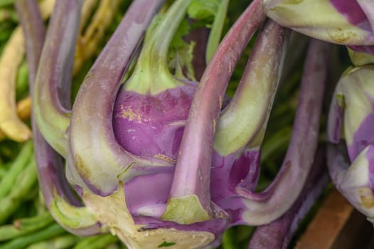 fresh blue kohlrabi at local market