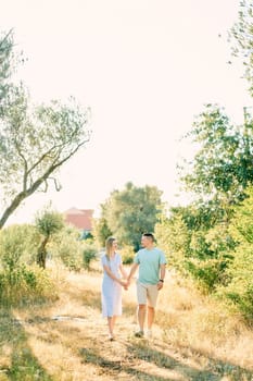 Man and woman walk on dry grass in a sunny garden holding hands. High quality photo