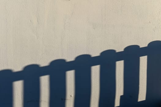 shadow from a hedge on a light wall 1