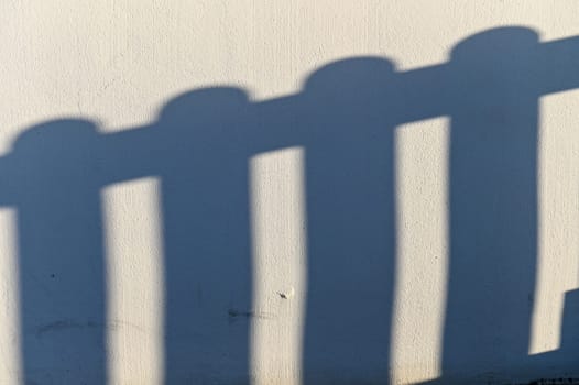shadow from a hedge on a light wall