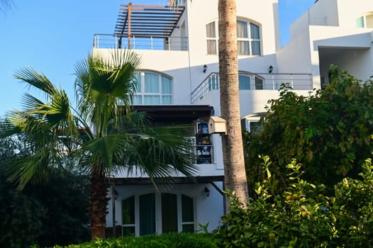 birdhouse on a date palm in a residential complex