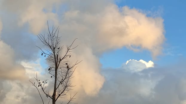 Blue light sky nature white clouds whether background . High quality photo