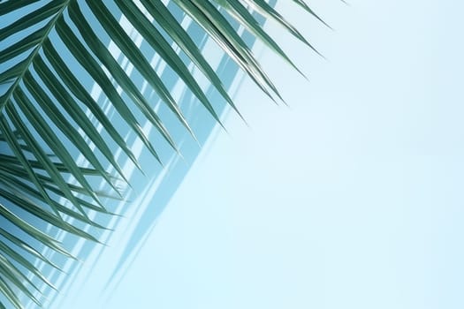 Blurred shadow from palm leaves on the light blue wall. Minimal abstract background for product presentation. Spring and summer. High quality photo