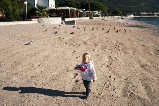 Little girl with a soft toy in her jacket pocket walks along the sandy beach. High quality photo