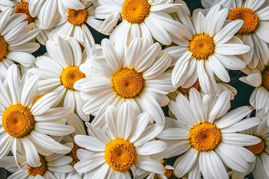 A Beautiful Array of White Flowers with Yellow Centers