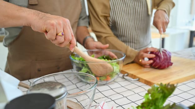 Senior couple in aprons preparing a fresh healthy vegan salad in kitchen. Healthy eating and culinary concept.