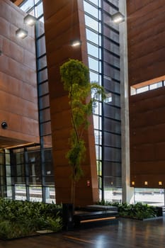 Indoor trees Modern interior design in European Solidarity Centre Gdansk Poland. Biophilia design connecting with nature green areas. Modern abstract museum in Europe. Travel destination tourist attraction