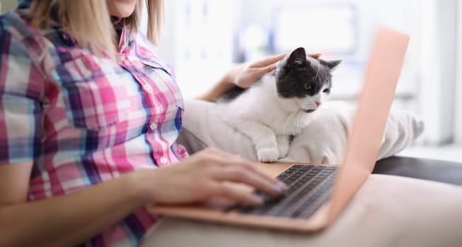 Woman sits on sofa with cat and works remotely on laptop. Remote work during quarantine concept