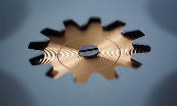 Gear of mechanism of precision technological equipment Template for the manufacture of mechanisms and spare parts concept