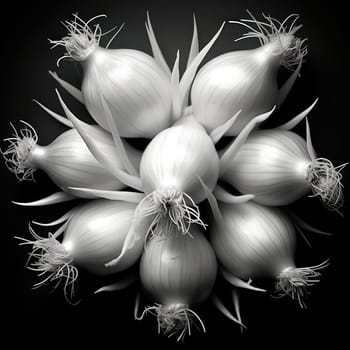 Organic Fresh Healthy Vegetables: A Closeup of Raw White Onion and Garlic Bulbs on a Dark Wooden Table