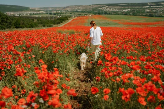 woman with dog. Happy woman walking with white dog along a blooming poppy field on a sunny day. On a walk with dog.