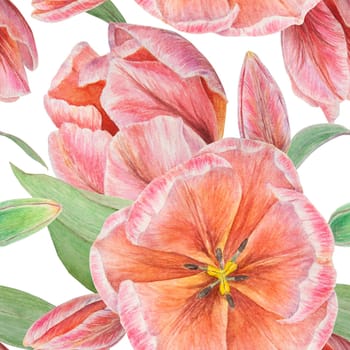 Pink tulips seamless pattern painted in watercolor, realistic botanical hand drawn illustration isolated on white background for design, wedding print products, paper, invitations, cards, fabric, posters, card for Mother's day, March 8, Easter, festivals