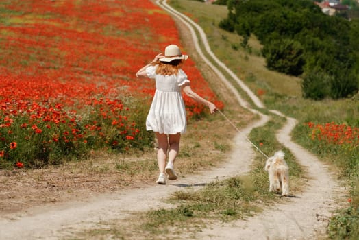 woman with dog. Happy woman walking with white dog the road along a blooming poppy field on a sunny day, She is wearing a white dress and a hat. On a walk with dog.