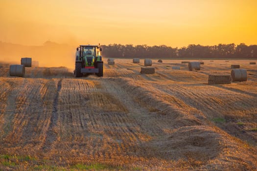 Combine harvester pressing straw from field into bales driving field on sunny summer evening. Field with bales of pressed wheat. Lots of dust on field. Agricultural agro-industrial harvesting works