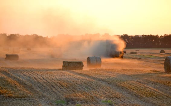 Combine harvester pressing straw from field into bales driving field on sunny summer evening. Field with bales of pressed wheat. Lots of dust on field. Agricultural agro-industrial harvesting works