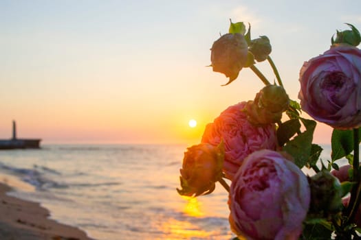 Rose flowers lying on sand of beach of sea shore coast at sunset dawn close-up. Blossoming blooming flowers of pink roses on sand of sea coast with setting rising sun. Romance mood romantic concept