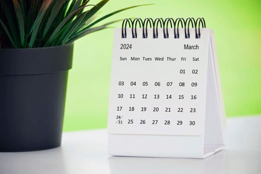 March 2024 desk calendar with potted plant on a desk with green background. Copy space.