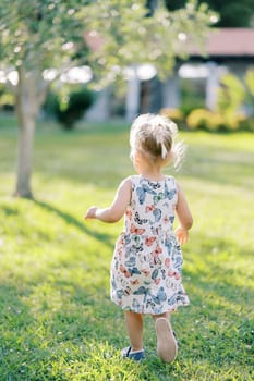 Little girl goes to a green tree in the garden. Back view. High quality photo