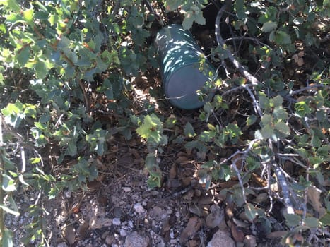 Finding a Geocache at the Oak Flat Campground near Globe, Arizona . High quality photo