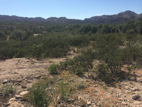 View at Oak Flat Campground near Globe, Arizona . High quality photo