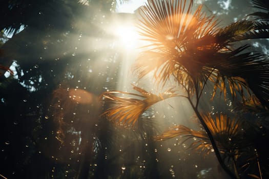 Sunlight breaks through palm leaves in raindrops.