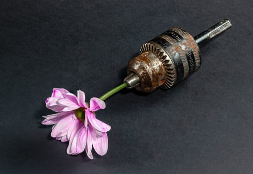 Creative still life with old rusty drill head and pink chrysanthemum on a black background