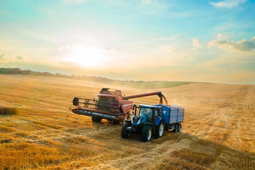 Harvester machine loads wheat grains into tractor trailer on dusty plantation aerial view. Combine reaper unloads gathered cereal crop at sunset