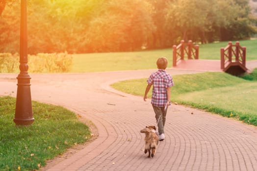 Cute boy playing and walking with his dog in the meadow.