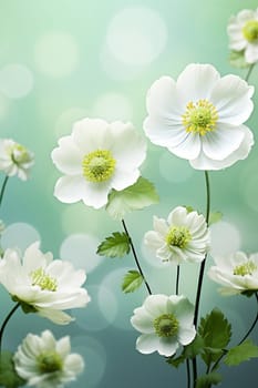 Green spring and summer background with beautiful white flowers.