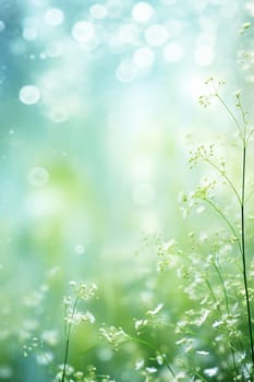 Green spring and summer background with beautiful white flowers.