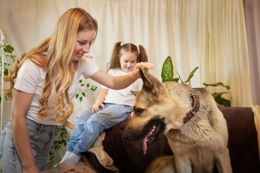 Loving family with mother, daughter and big dog in living room. Woman mom or babysitter and female teenager who is afraid of big pet