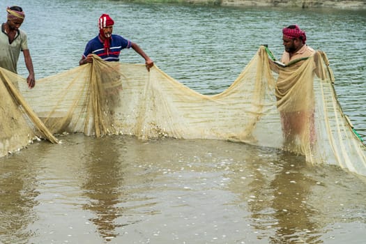 31.12.2023: Bangladesh - Small group of people fishing in river with net