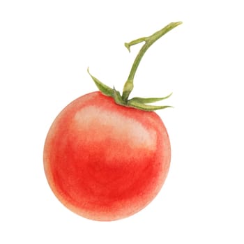 Fresh ripe cherry tomatoes on the branch. Hand drawn watercolor illustration of red organic vegetable, close-up, vegetarian food, natural ingredient, package design element. Realistic botanical painting