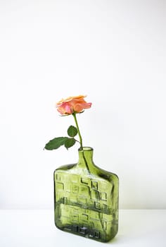 A pink-orange rose in a green glass bottle against a white background. Elegant and minimalist decor
