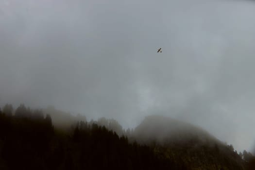Solitary Plane Soaring Above a Mystical Mountain Landscape Shrouded in Fog. High quality photo