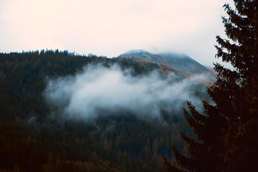 Veiled in Mist: Dawn's Light Reveals a Mountain's Splendor Beyond the Whispering Pines. High quality photo