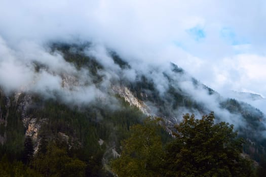 Mystic Mountains: Veiled in Fog, the Forested Peaks Evoke a Sense of Wonder and Tranquility. High quality photo