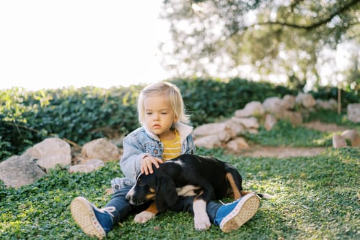 Large puppy lies on the lap of a little girl sitting on a green lawn. High quality photo