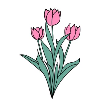 Hand drawn illsutration of two wild flowers rose tulip. Green leaves branch, pink flower floral petal blossom bloom. Spring summer elegant design. Three elegant flowers in bouquet, greeting print