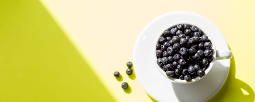 Fresh raw organic farm blueberry in white cup on white marble kitchen background, copy space