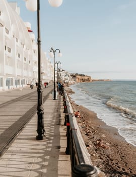 coastal area with apartment buildings of residential areas, modern hotel and restaurant complex on water and sandy beaches