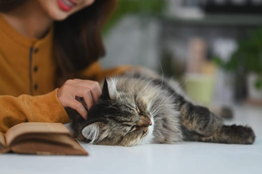 Loving young woman petting her cute fluffy cat sleeping on desk.