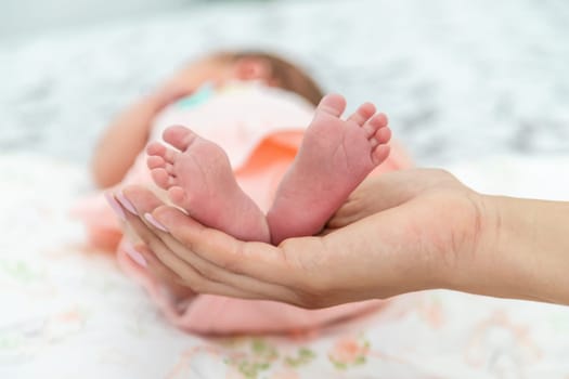 Close-up of the small legs of a newborn baby in the hands of a woman or mother. Moments with a child.