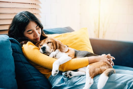 A heartwarming scene unfolds in the living room as a young Asian woman embraces her Beagle dog while they nap together on the sofa, epitomizing the concept of trust and happiness at home.