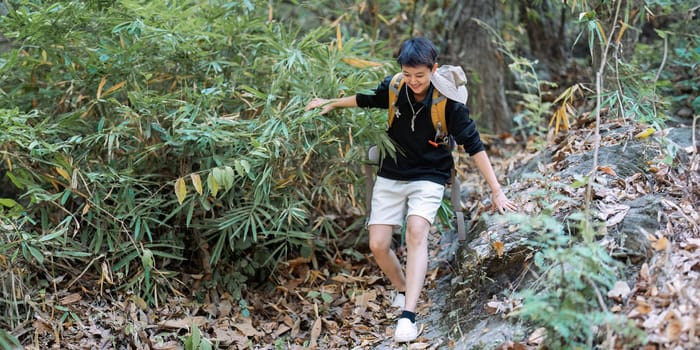 LGBTQ backpacker traveling alone in forest. Attractive male traveler walking in nature wood during holiday vacation trip.